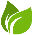 GraphicForest